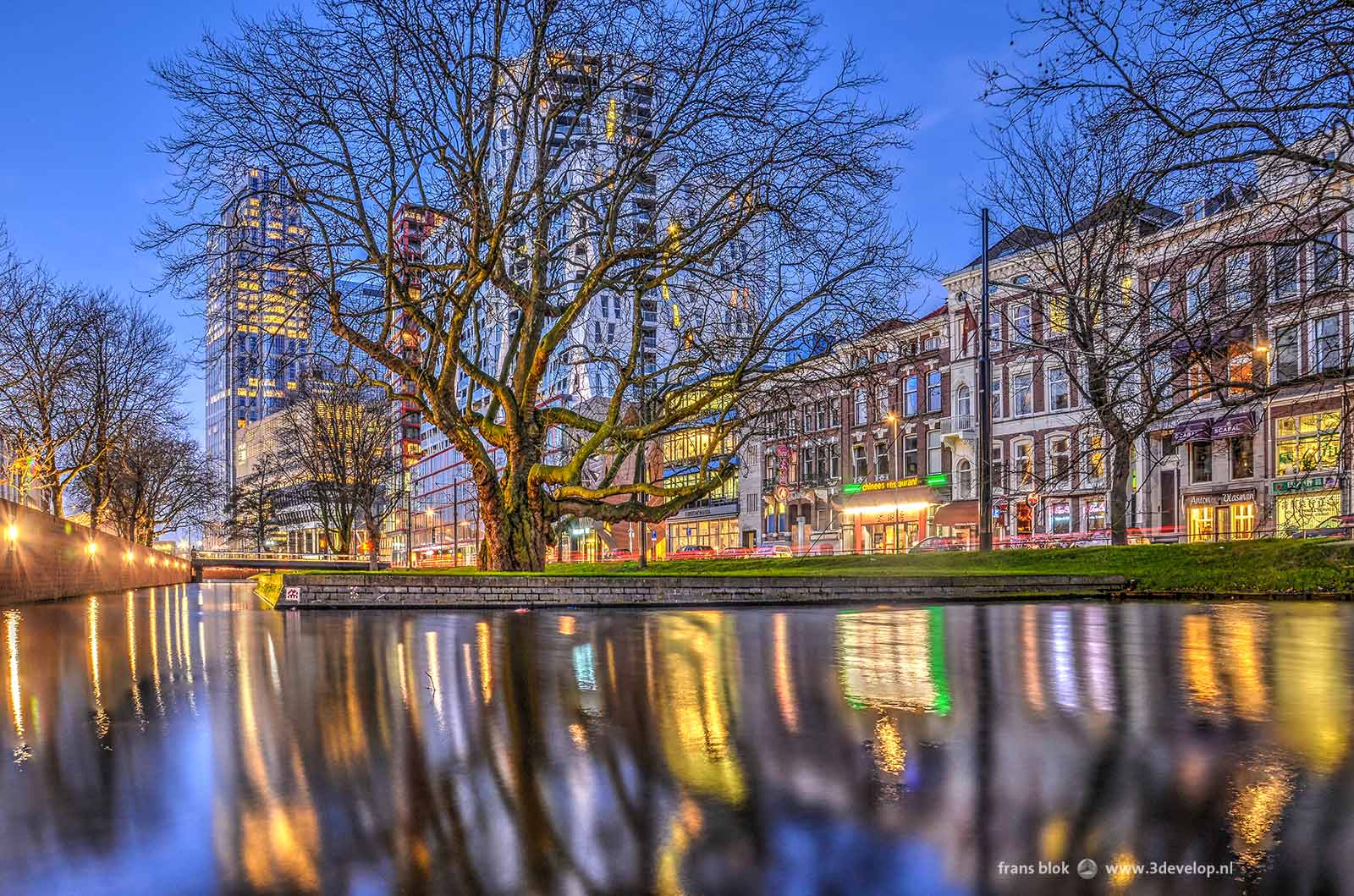 Evening photograph of Rotterdam: westersingel during the blue hour