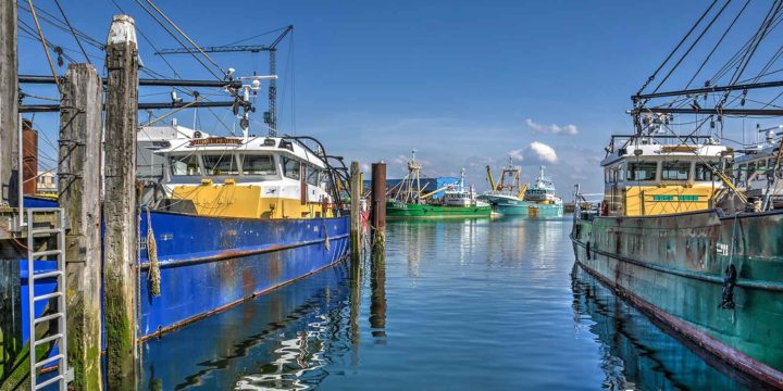 Colorful fishing boats in Yerseke harbour, Zeeland, the Netherlands, on a sunny day