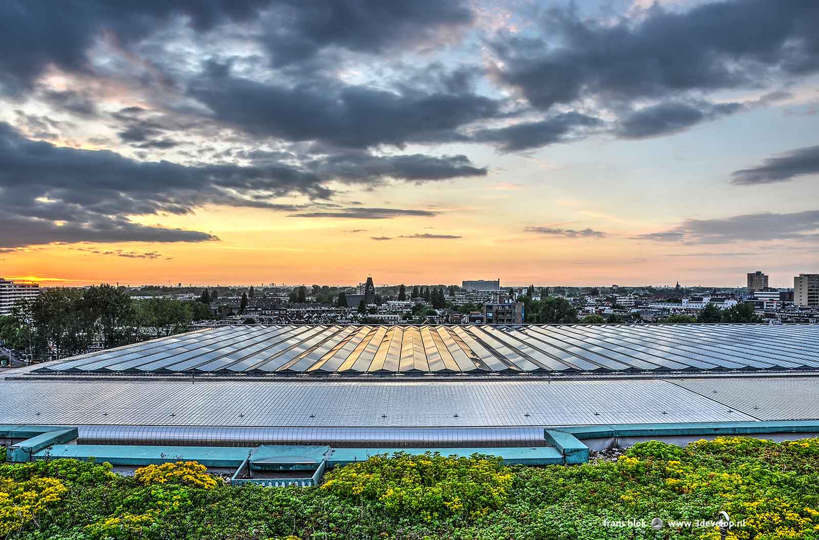 The roof of the Central Station in Rotterdam, stainless steel and glass, as seen from the roof of the Groothandelsgebouw at sunset, with a sedum field in the foreground.