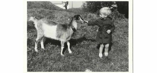 Black and white photo of a two year old boy and a young goat, made in the summer of 1964