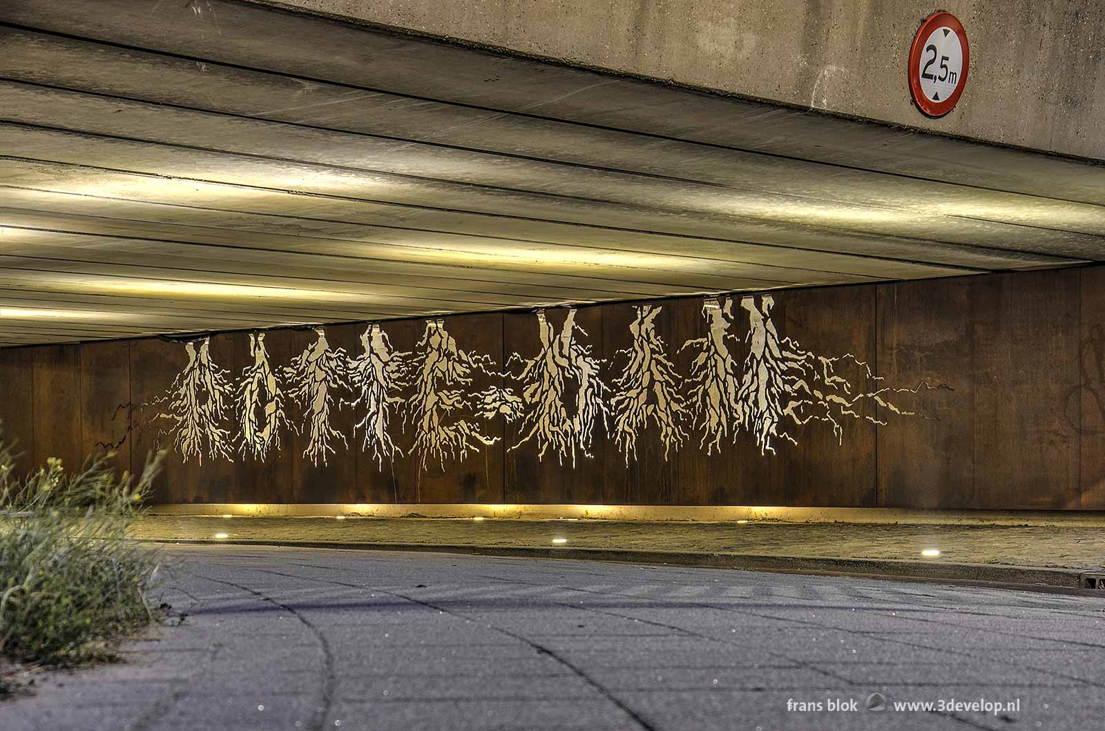 Corten steel wall under van der Louw bridge in Rotterdam with root shaped openings shaping the word ROTTE-DAM