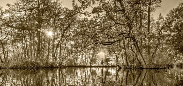 Black and white photo of the autumn in the Brediuspark in Woerden, The Netherlands with a low sun and the reflection of trees on the water surface, with a sepia tint applied in Photoshop