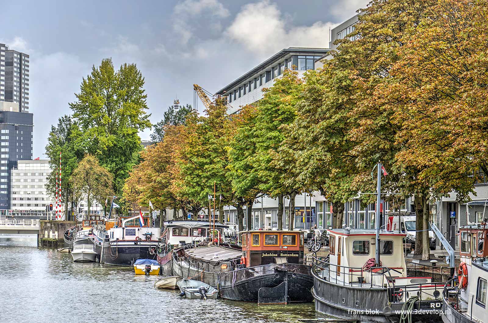 Houseboats, office buildings and discolouring trees on Scheepmakershaven in Rotterdam at the beginning of autumn