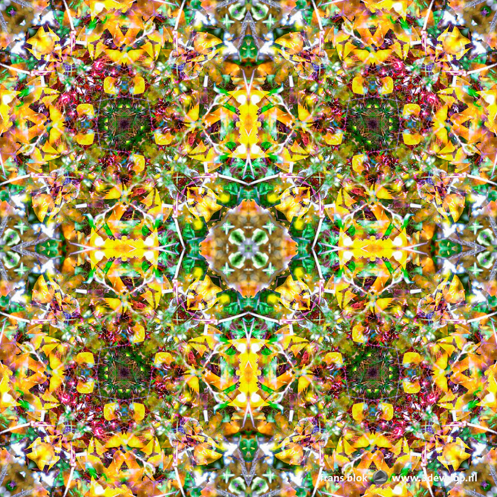 Colorful kaleidoscopic symmetric pattern made in Photoshop based on a photograph of a tree with red berries in autumn