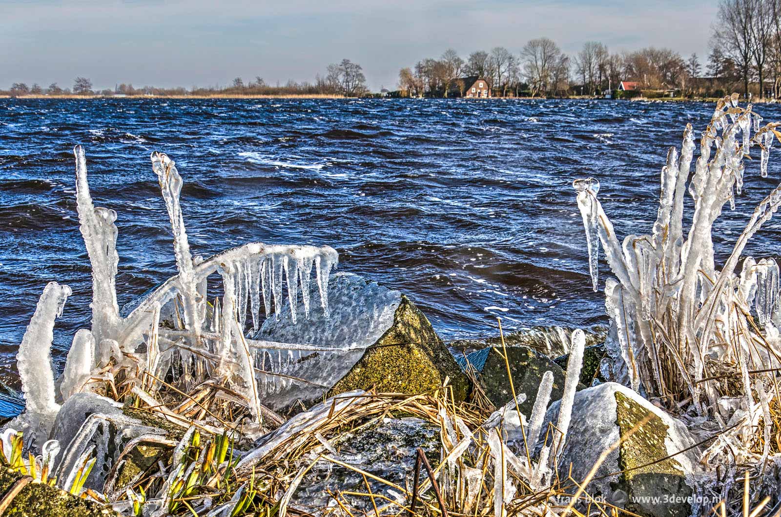 Ice sculptures crated by the strong eastern wind at the banks of Wijde Aa near Hoogmade, Holland