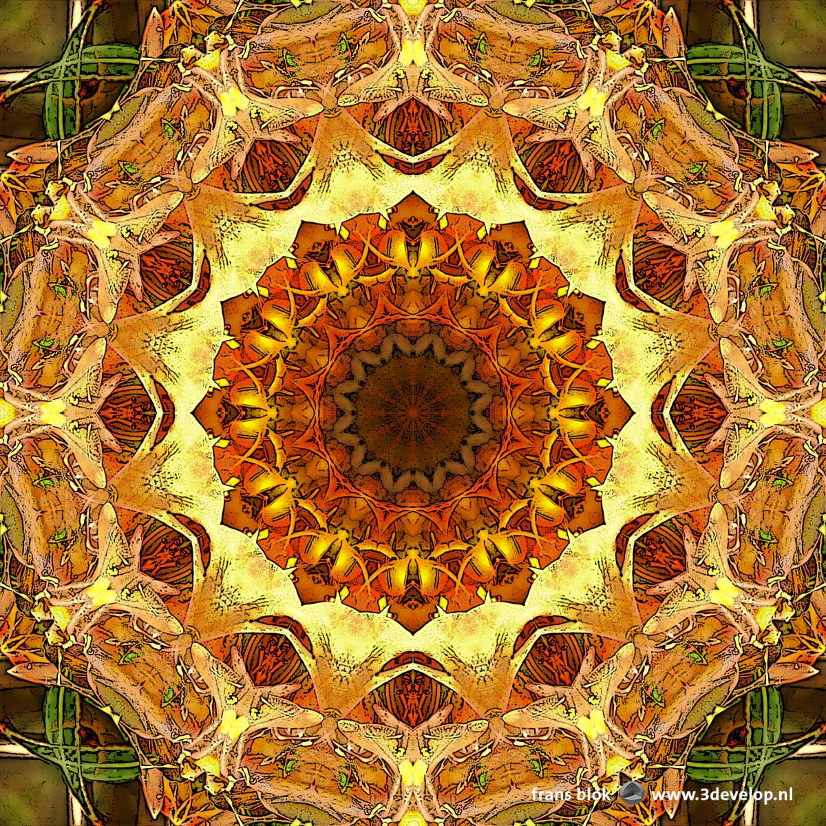 A circular, madala-esque flowery image in yellow and orange hues, based on a photograph of azaleas in springtime