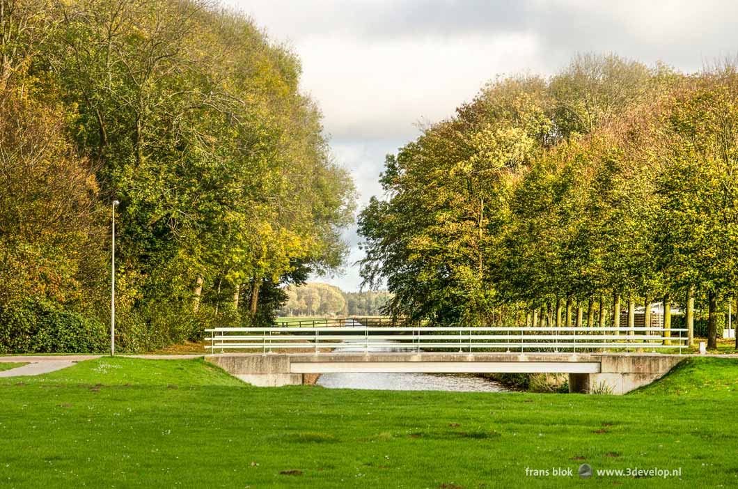 Vista from the village of Nagele through the surrounding forest to the open landscape of the North East Polder in the Netherlands