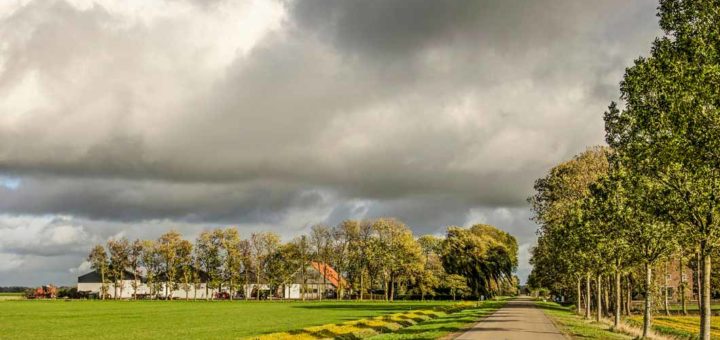 Long straight road with a line of trees and a farm in the North East Polder in the Netherlands