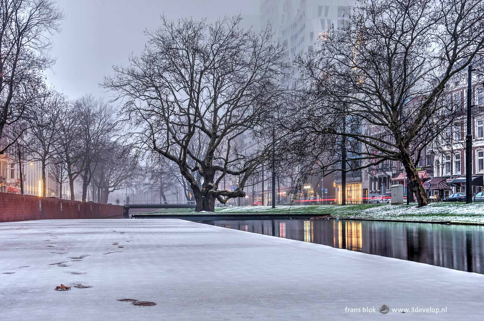 Photo made on a Sunday morning in december on the lower quay of Westersingel canal in Rotterdam, with a thin layer of snow, bare trees and the Calypso building almost disappearing in the mist