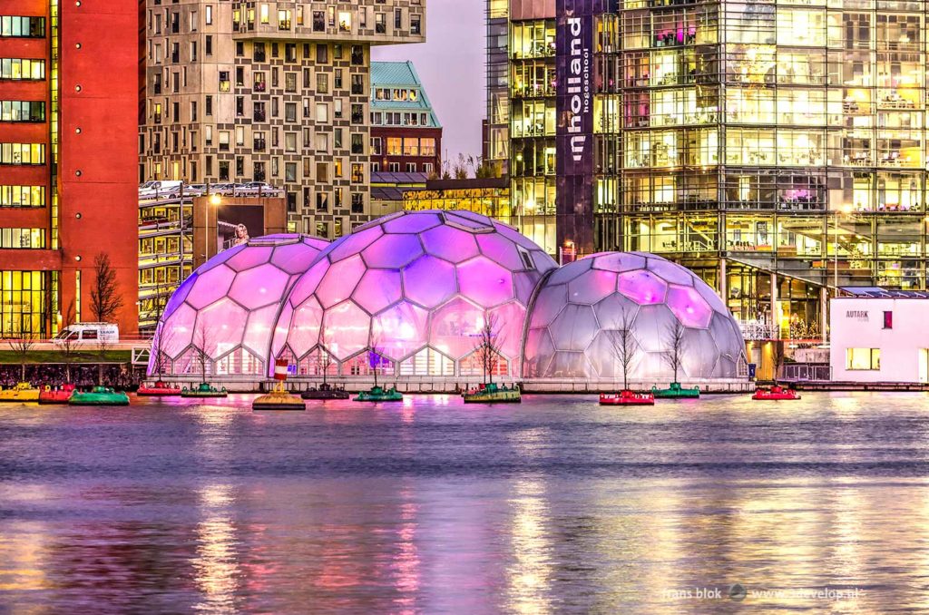 Evening photo of the Rijnhaven in Rotterdam, with floating purple bulbs, a floating forest, modern architecture and an ugly white van