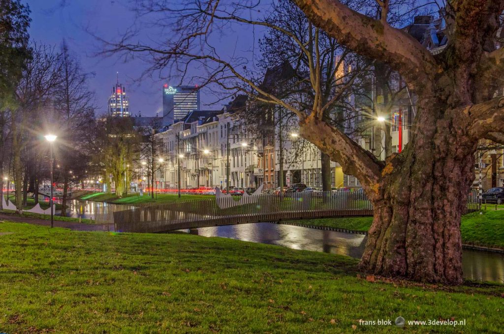 Westersingel canal in Rotterdam during the blue hour on a January morning with 19th century houses and in the background the modern downtown highrise