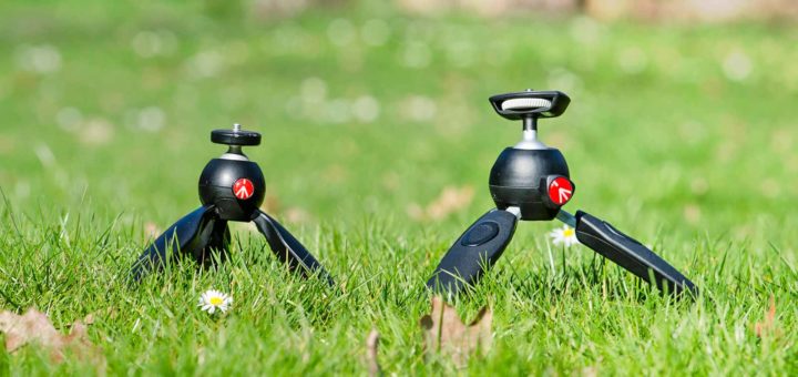 Two different Manfrotto mini tripods on a lawn with daisies