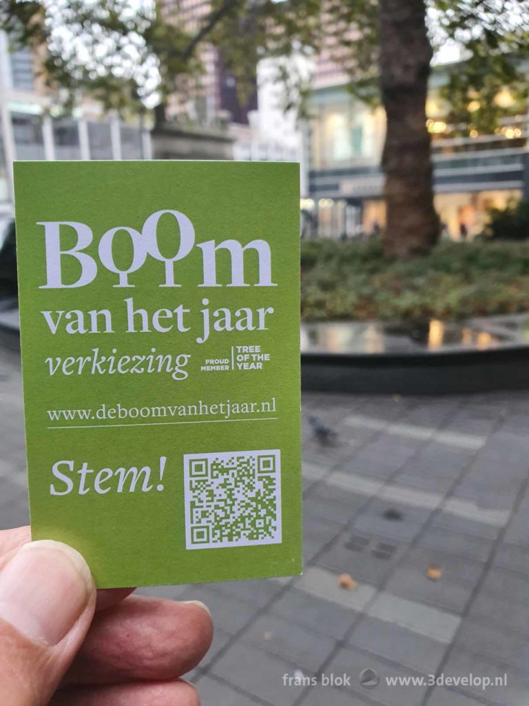 Card with a call to vote for the Tree of the Year election with in the background one of the candidates: the Lijnbaan plane tree in Rotterdam