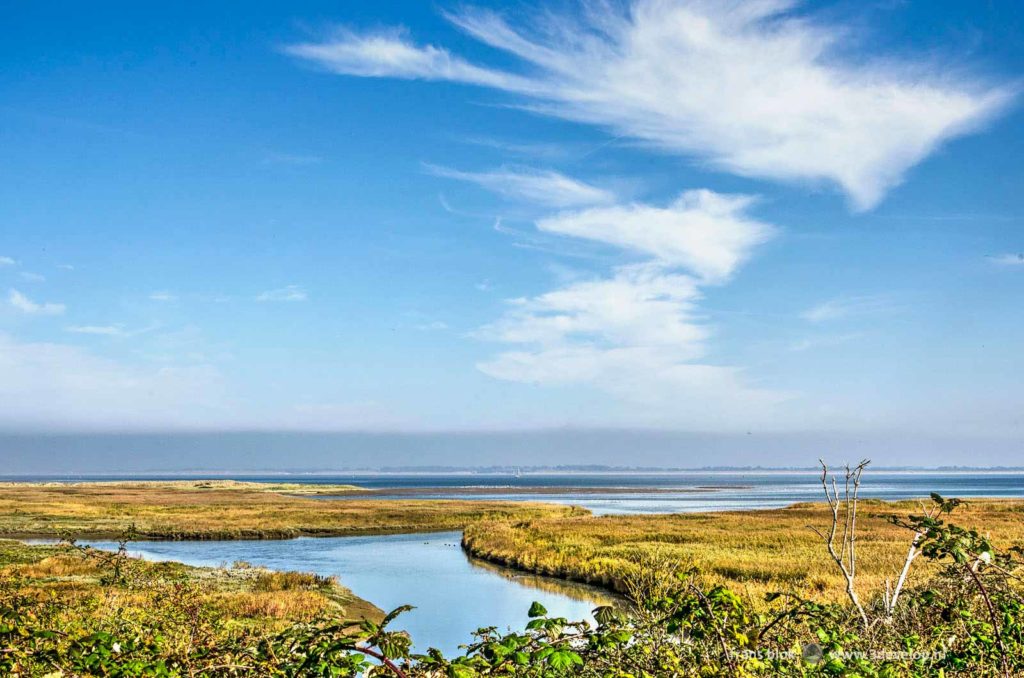 Landscape with creeks and low vegetation in nature reserve De Kwade Hoek on the island of Goeree-Overflakkee in the Netherlands