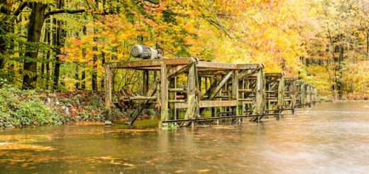 Rusty old installations in a pond, in the Waterloopbos (Hydraulic Forest) in the Dutch North East Polder on a rainy day in autumn