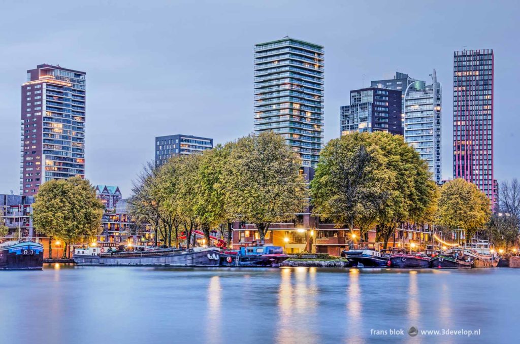 Leuvehaven harbour and Wijnhaven island in Rotterdam on an autumn eveing, with historic barges, large trees and modern skyscrapers