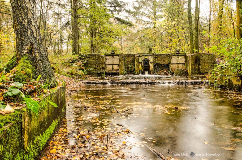 A weathered brick wall, a canal and many trees, in the Waterloopbos (Hydraulic Forest) in the Dutch North East Polder on a rainy day in autumn