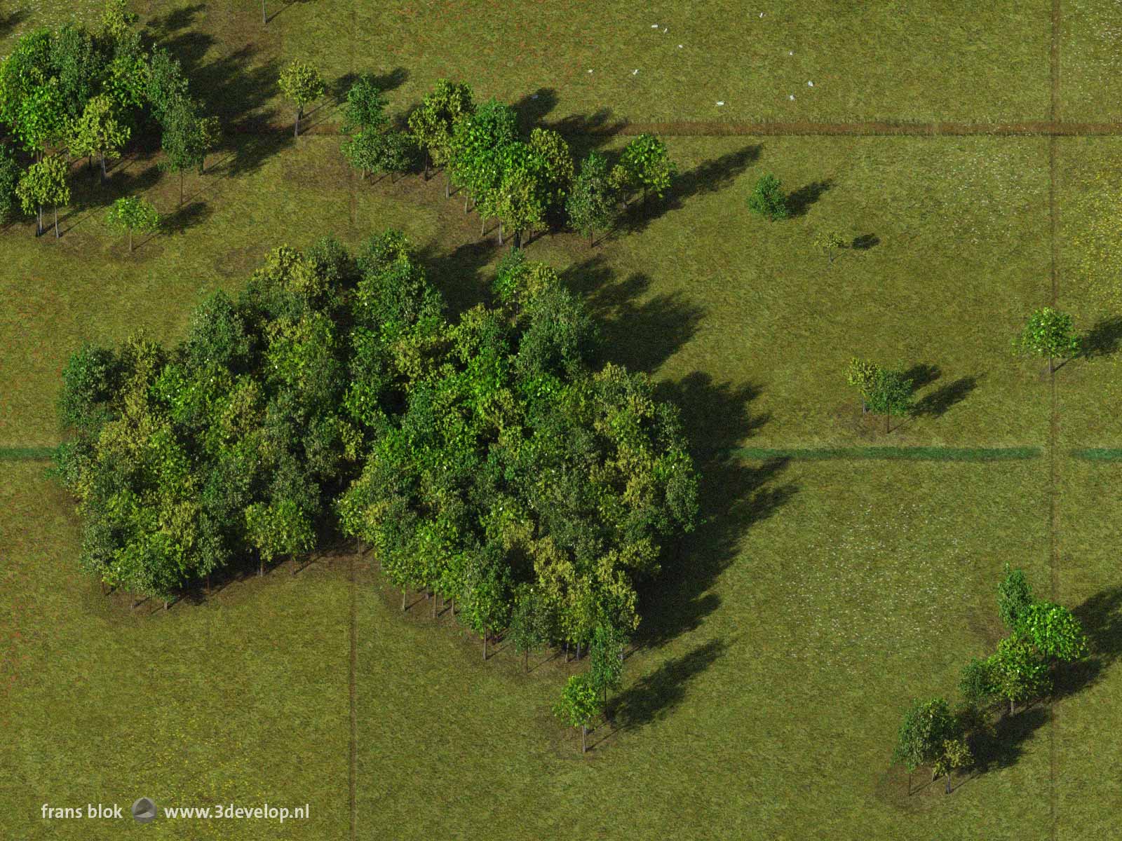 Detail van de Bos-wereldkaart, gemaakt van digitale bomen omgeven door virtuele grazige weiden, met Australië, Nieuw-Zeeland en een deel van Indonesië