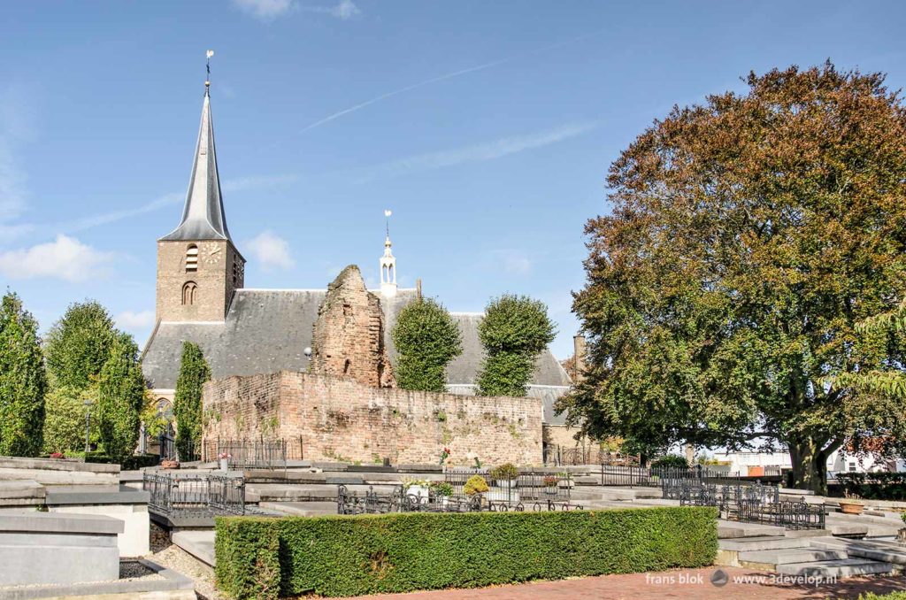 De kerk, de ruine en een grote beuk op het kerkhof in Hillegersberg, Rotterdam