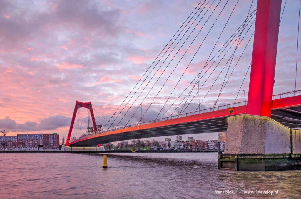 Willems Bridge, Nieuwe Maas river and Noordereiland in Rotterdam under a spectacular sky at sunrise