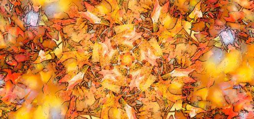 The Wind's Five Quarters, ein farbenfrohes kaleidoskopisches Bild, das durch fünfmaliges Kopieren, Drehen und Mischen eines Fotos von Eichenblättern an einem sonnigen Herbsttag erstellt wurde