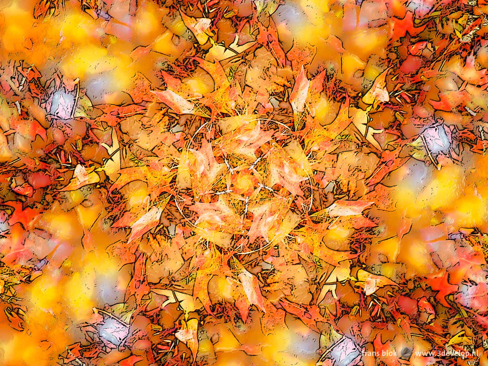 The Wind's Five Quarters, ein farbenfrohes kaleidoskopisches Bild, das durch fünfmaliges Kopieren, Drehen und Mischen eines Fotos von Eichenblättern an einem sonnigen Herbsttag erstellt wurde