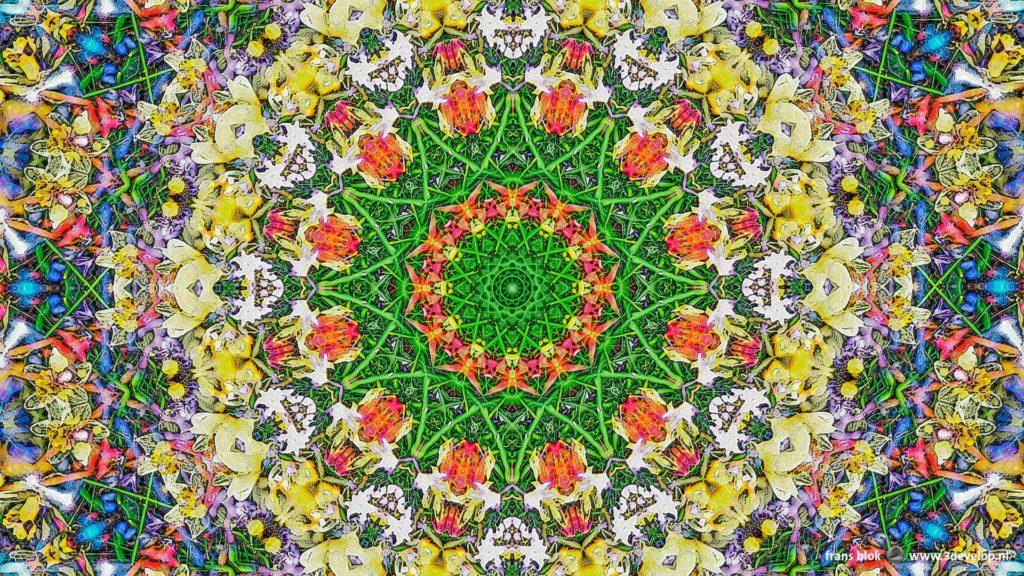 Botanical, geometric, kaleidoscopic digital artwork titled Urban Springtime, based on a photograph of spring flowers in a lawn near Kralingse Plas in Rotterdam on a sunny day