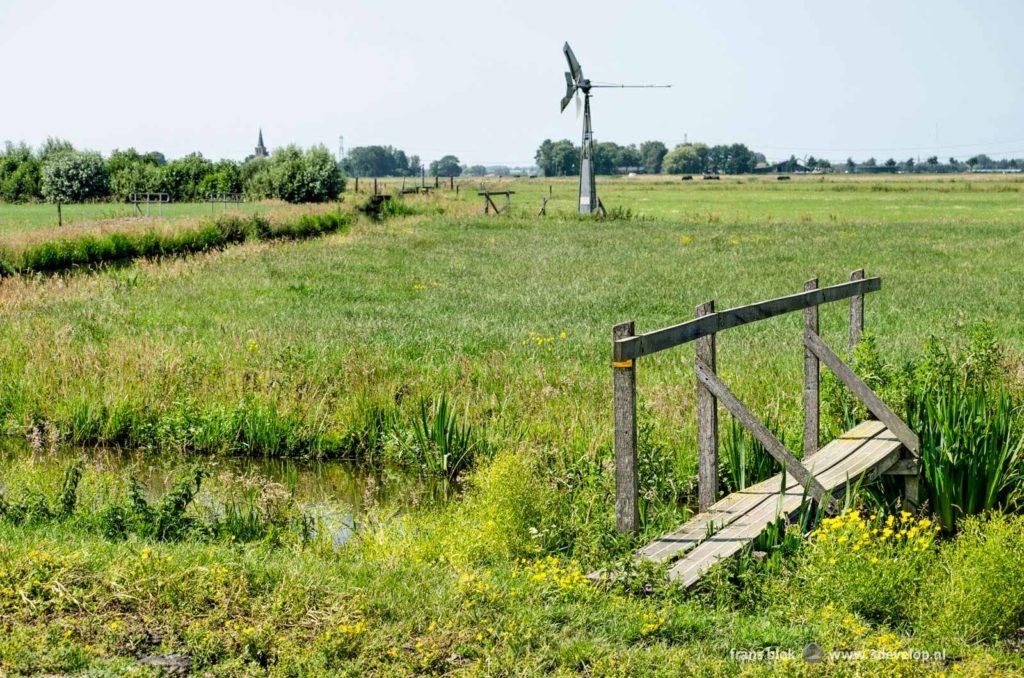 Hiking Trail with bridge through the fields between Schipluiden en 't Woudt, Midden-Delfland region, the Netherlands