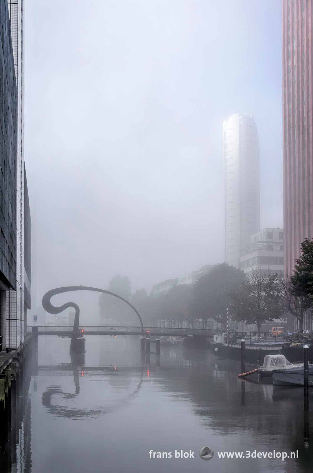 Ibis bridge ad Scheepmakershaven harbour in Rotterdam, Holland on a misty day in autumn