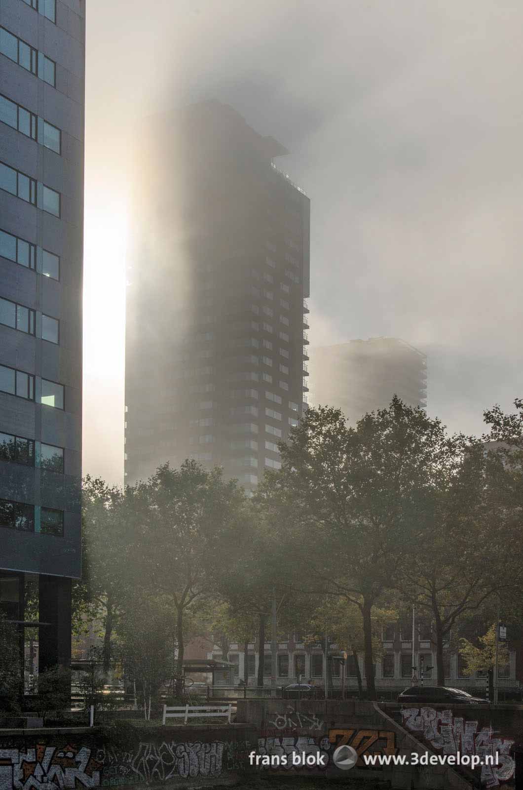 Slightly apocalyptic mood at Leuvekolk in downtown Rotterdma on a misty day in autumn