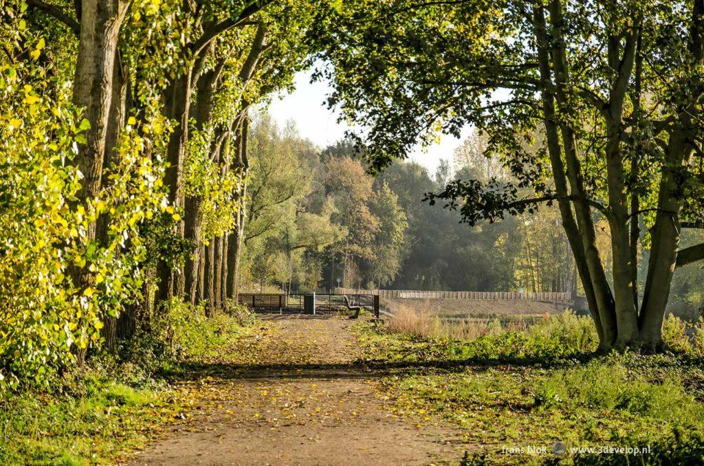 Bossen en bosjes op het Eiland van Brienenoord in Rotterdam op een zonnige herfstdag