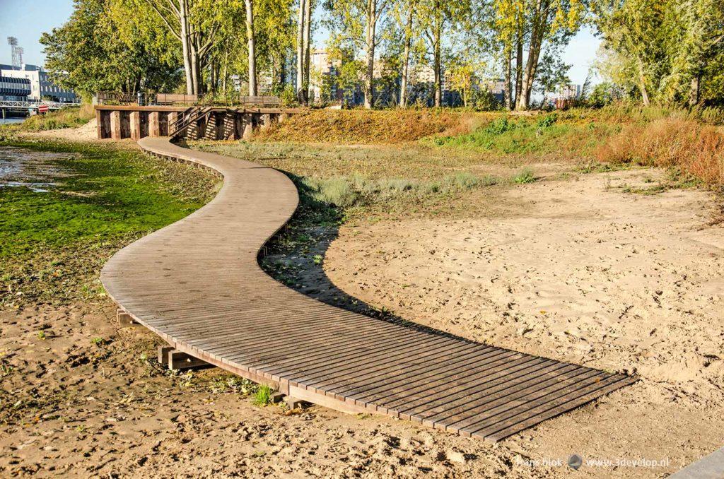 Vlonderbrug door de getijdennatuur op het Eiland van Brienenoord in Rotterdam