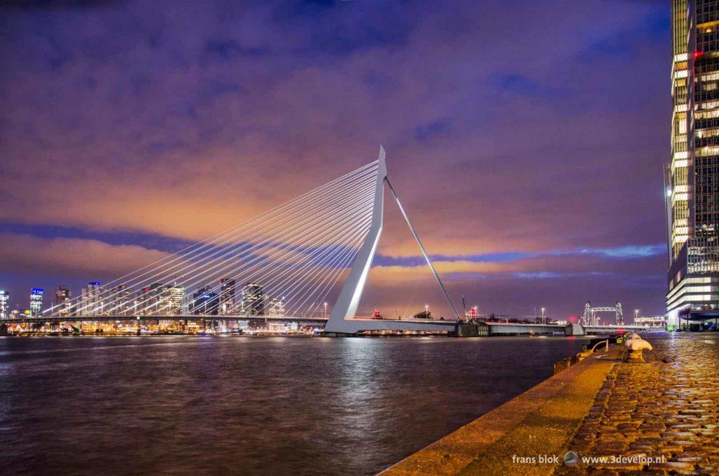 Erasmus Bridge in Rotterdam, The Netherlands, seen from the quay on Wilhelmina Pier during the blue hour on a January morning