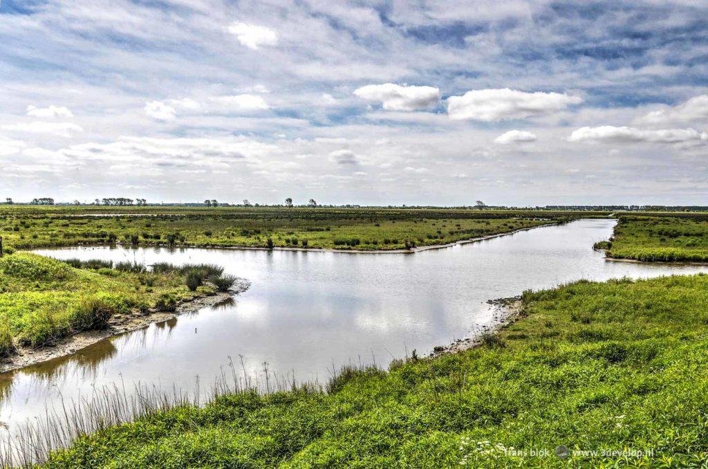 Green and flat landscape with wild vegetation around shallow lakes on the Dutch nature island of Tiengemeten