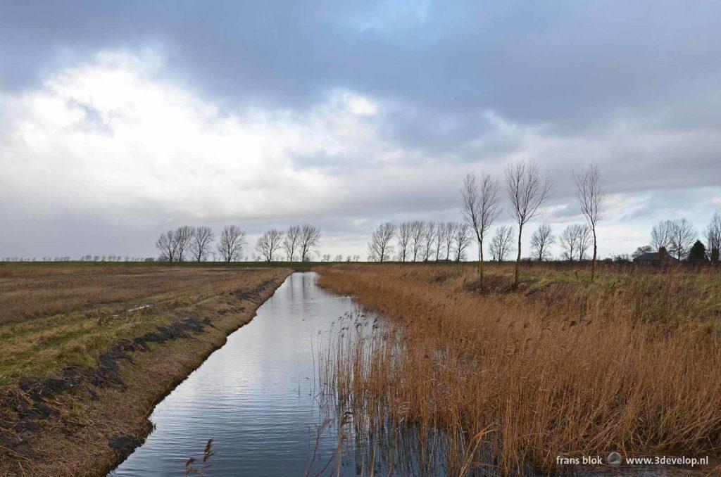 Agricultural fields, a ditch, trees and reeds on the nostalgic part of the island of Tiengemeten, The Netherlands