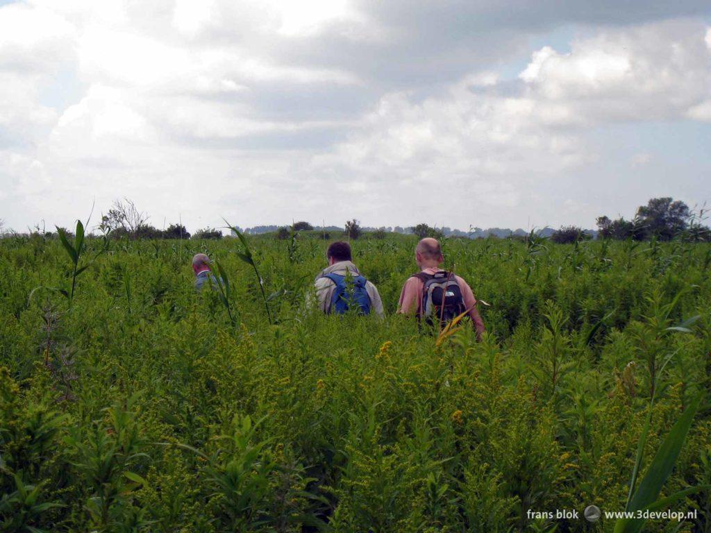 Three hikers in the wilderness on the western tip of the naure island of Tiengemeten in the Netherlands