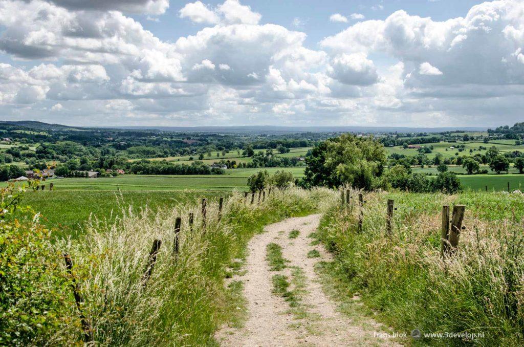 Dirt road in a hilly landscape near the village of Epen, province of Limburg, The Netherlands