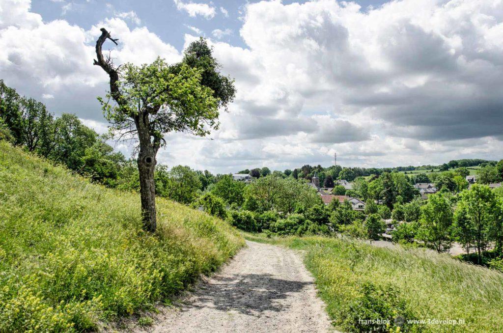 Hiking trail near the "Grand Forest" close to the village of Slenaken, province of Limburg, The Netherlands