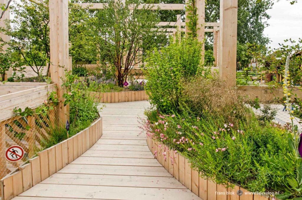 Lush roof garden at the German pavillion during the Floriade horticulture exhibition in Almere, The Netherlands