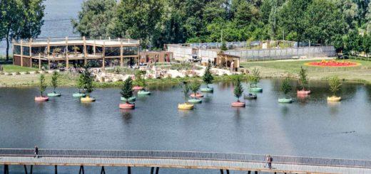 View from a cableway gondola at the Floriade expo in Almere, The Nethelrands, including the Floating Forest