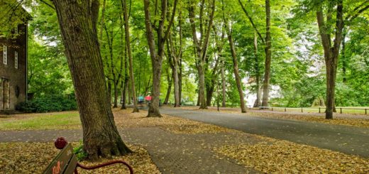 Park bench along the footpath on the Promenade in Münster, Germany