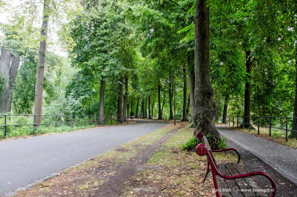 Tranquil image with a park bench under the green trees on the Promenade in Münster, Germany