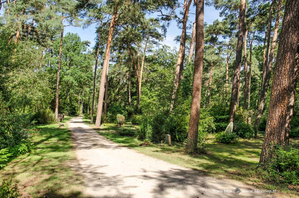 Forest cemetary Lauheide near Münster, Germany on a sunny day in summer