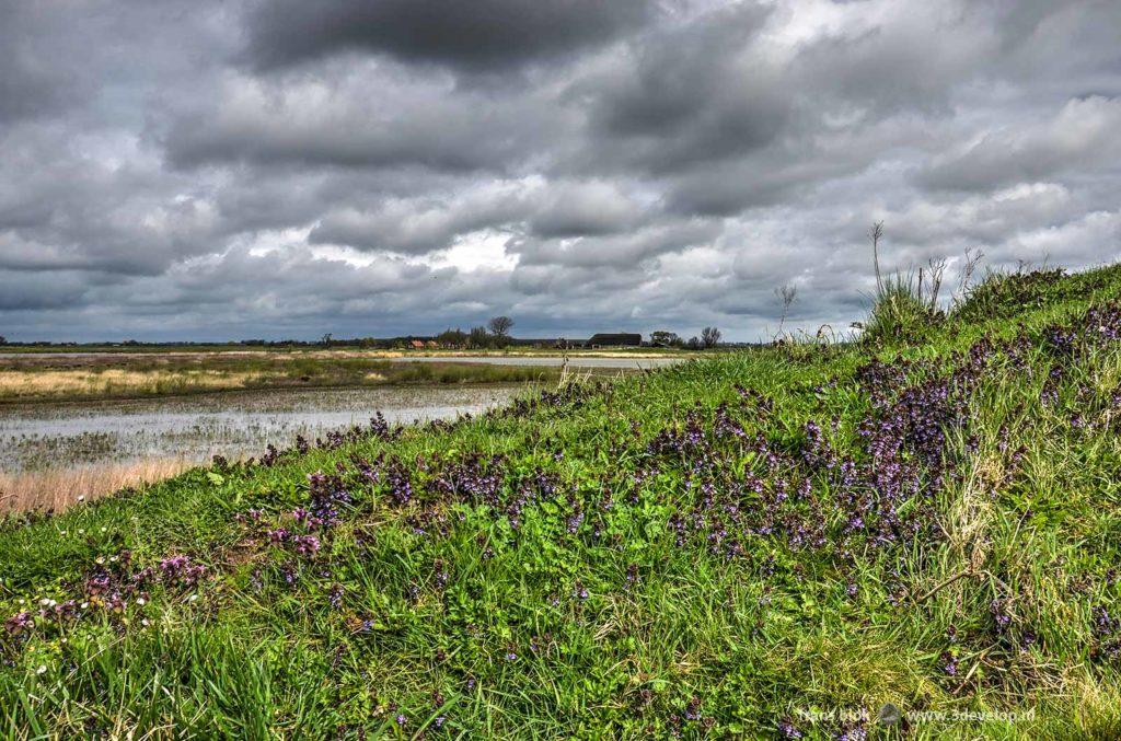 The slopes of Vliedberg mountain on the Dutch island of Tiengemeten under a dramatic sky