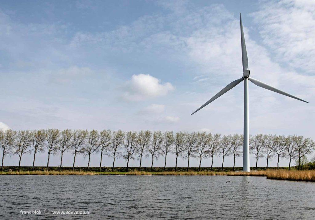 Modern wind turbine, dike and trees bending with the wind on the island of Goeree-Overflakkee, The Netherlands