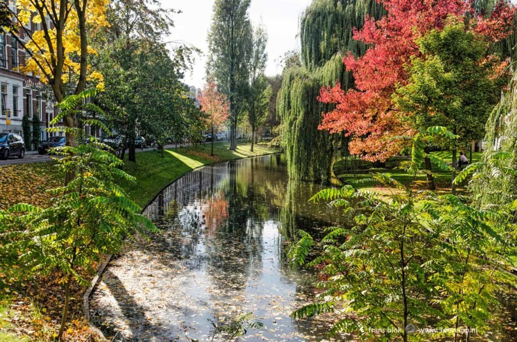 Colorful and sunny autumn scene on Provenierssingel in Rotterdam