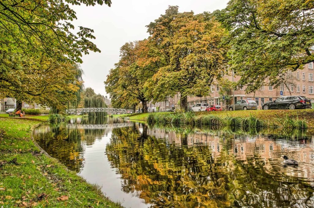 Reflections in Bergsingel canal in Rotterdam during autumn