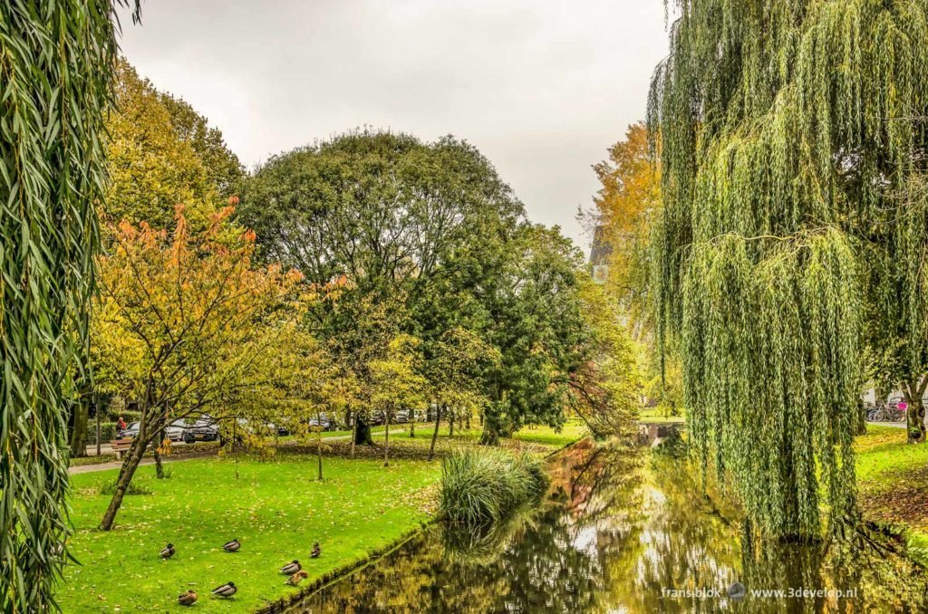 Statensingel canal in the Rotterdam neighbourhood of Blijdorp on a day in autumn