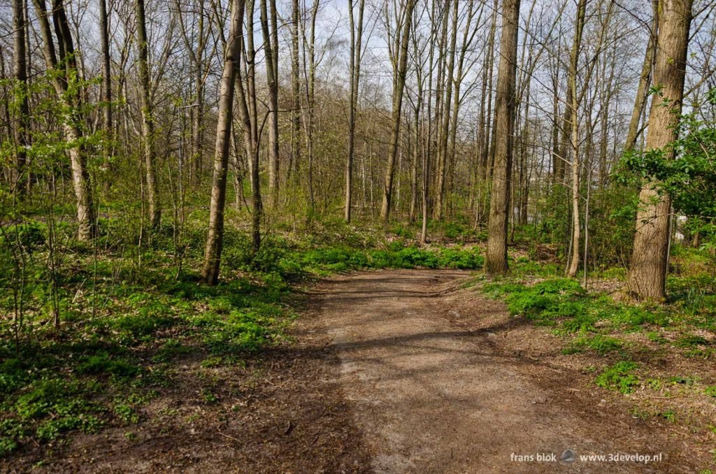 Hiking path through a hilly forest in the neighbourhood of Beverwaard in Rotterdam