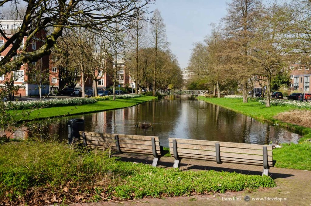 Two benches overlooking a green canal in the western part of Rotterdam